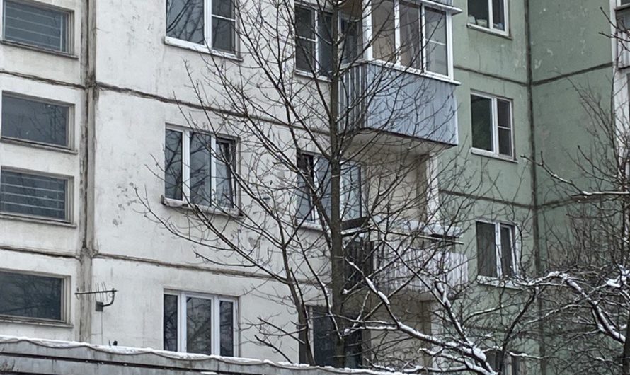 “Дерево раздора” или “Цвети моя черешня!”